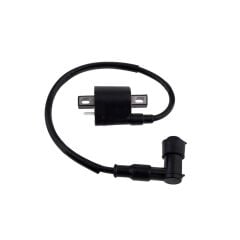 Ateşleme bobin cınm cg