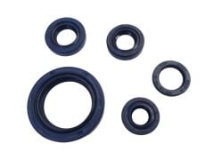 Bajaj ns 200 keçe seti (motor)