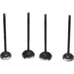 Bajaj ns 200 sibop gomet